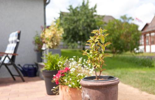 Sonnige Wohnung in Bad Driburg mit Garten - Foto 104