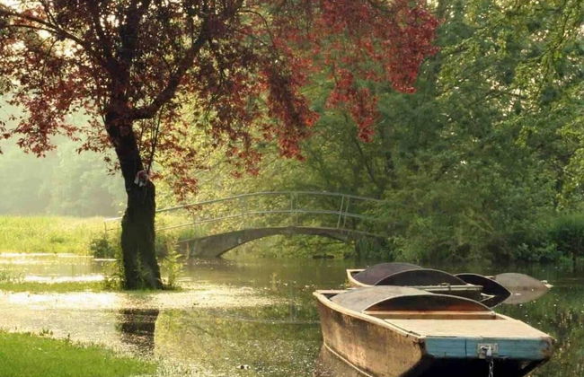 Cottage in Area of Outstanding Natural Beauty - Foto 64