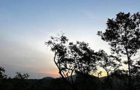 Cabanas da Mata - Cabana Flamboyant - Casa Branca - Foto 51