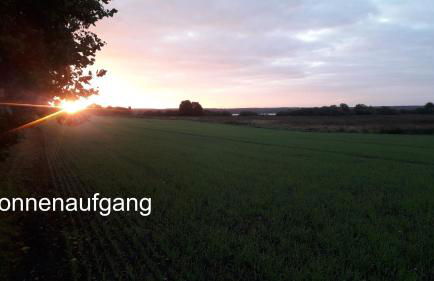 Ferien Mecklenburgische Seenplatte, Urlaub auf dem Gutshof Bossow - Foto 41