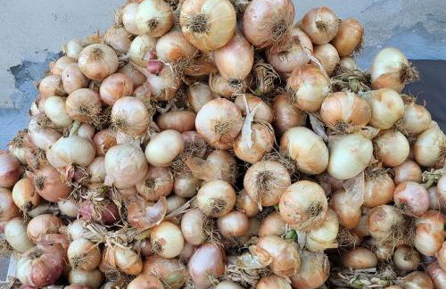 Agriturismo Gli Antichi Sapori - con stazione di ricarica veicoli elettrici - Foto 55