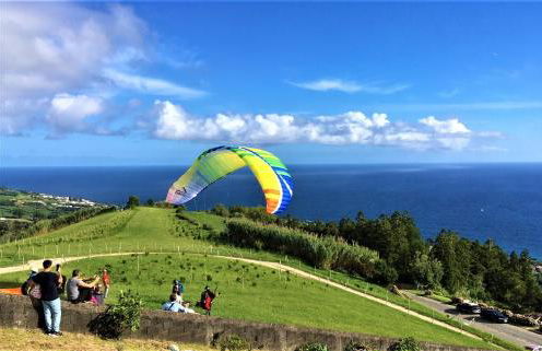 Lobo do Mar - Photo 10