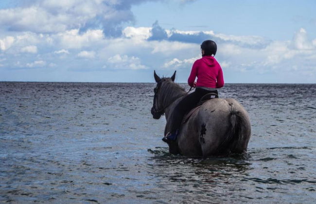 Wellness & Comfort Retreat - Photo 37