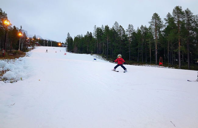 Vildmarks Lodge - Photo 29