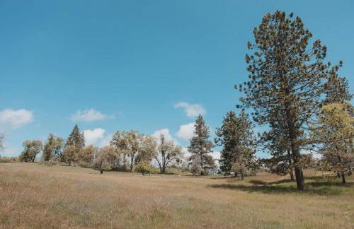 Secluded rustic 1-bedroom cabin on private land - Foto 14