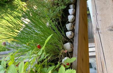 Ferienwohnung / Appartement Bergliebe - Foto 34