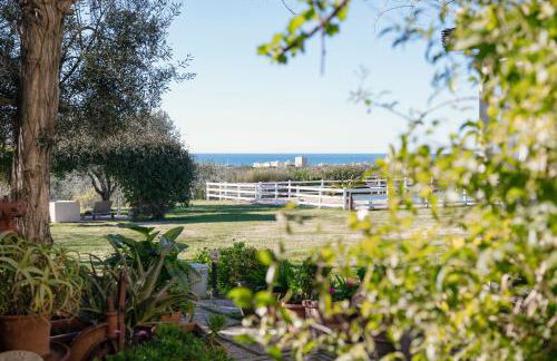 Agriturismo Podere L'Agave - Foto 82