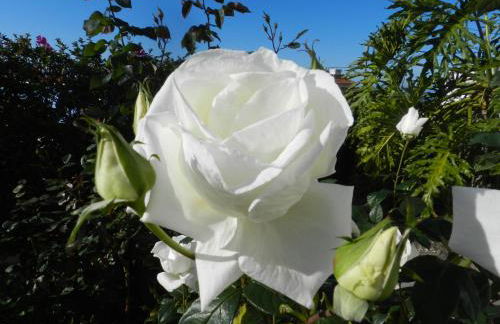 El Lagar de Piedra - Foto 19