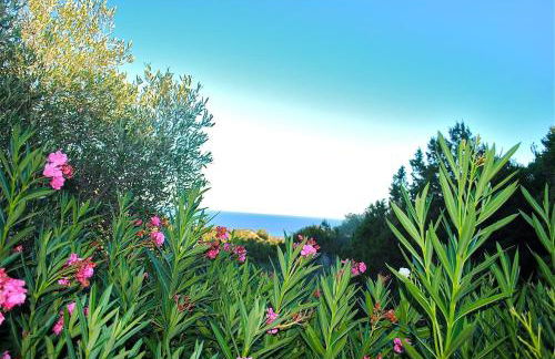 Villa Cala Rossa 45M2 4-5 pers Rondinara Bonifacio - Foto 13