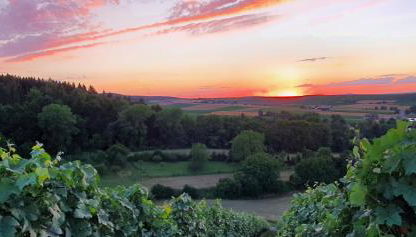 Weingut Will und Würz Lemberger - Foto 2