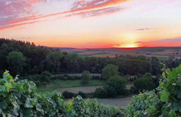 Weingut Will und Würz Lemberger - Foto 2