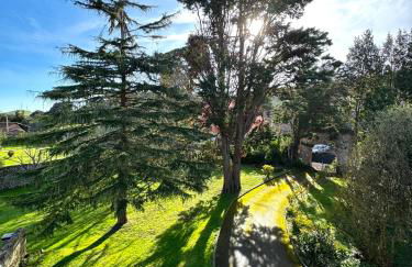 La Rectoral - Foto 18