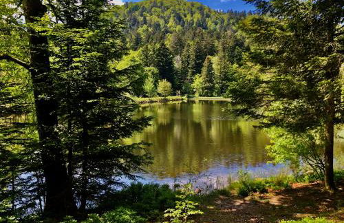 Le Giromagite au pied du Ballon d'Alsace - Foto 19
