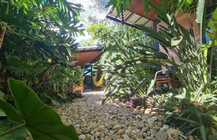 Casa jardim com ofurô - Chapada dos veadeiros - Foto 31