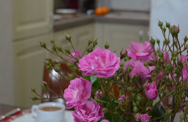 Aparthotel Luxury Ovidiu Mamaia - Foto 14