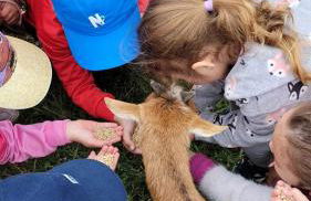 Quinta da Fé - Foto 16