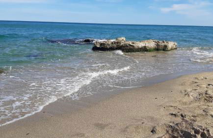 T2 cabine avec très belle vue sur le port de plaisance - Foto 47