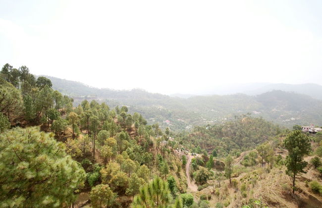 OYO 13878 Home Spacious 3BHK Kumarhatti - Foto 21