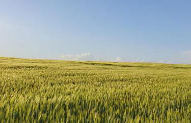 Apartment Altes Pfarrhaus in Plau am See - Foto 51