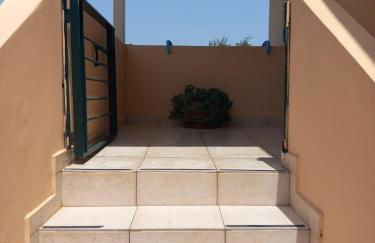 Fox's Sunshine - Foto 39