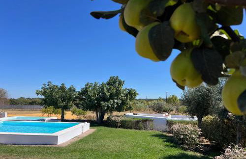 Monte do Pombal - Foto 28