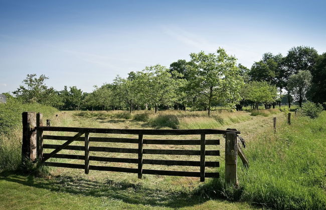 Stylish Farmhouse Escape - Foto 22