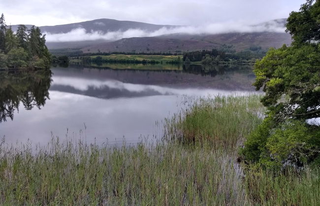 Ardvonie House - Foto 34