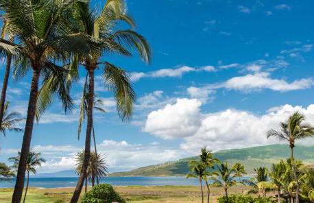 Boutique Oceanfront Studio Vistas - Foto 38