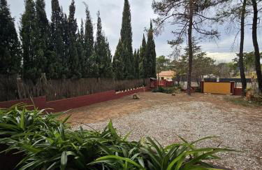 Tu Pedacito de cielo en la tierra - Foto 10