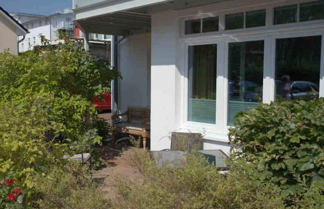 Herring Gull in the Villa Meernixe Binz - Photo 16