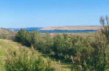 Apartmani Opg Dragoslavić - Photo 22