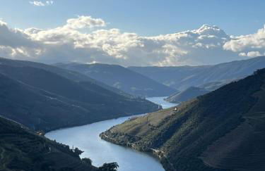 Quinta da Casa Cimeira, Guest House, Wines & Food - Foto 11