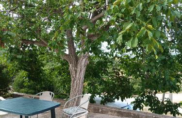 Apartmani Ćuk - Foto 27