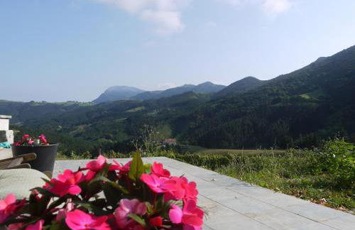 Agroturismo Erlete Goikoa -ESTAMOS EN EL CAMINO DE SANTIAGO -WE ARE ON THE CAMINO DE SANTIAGO- SENDERISMO-RUTAS Y BICICLETA - Photo 65