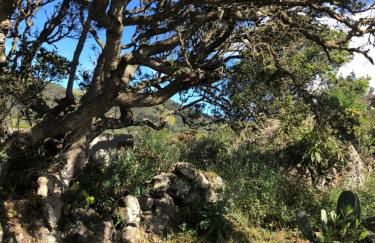 Casas Del Monte II - Foto 12