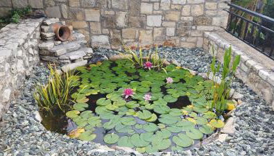 Villa Dimitris - Foto 2, Garden