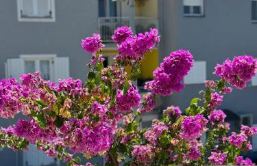 Apartment Emanuela - Photo 43