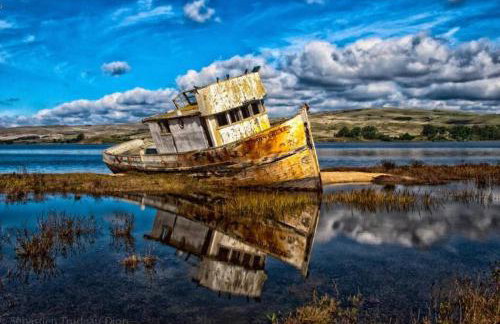 The Quail's Nest Retreat - Foto 13