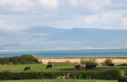 Tan Yr Allt - Foto 38