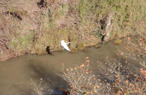 ZenTerra Country house with prive swimming pool and view - Foto 58