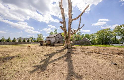Watch Deer from a Farm Cottage - Foto 38