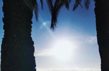 Palm House - Foto 27