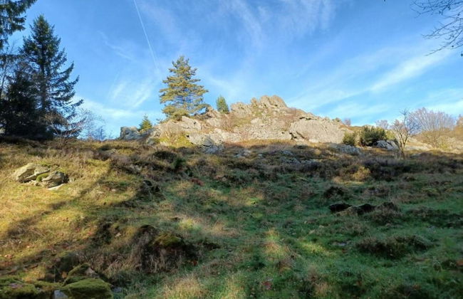 Family-friendly Tretting Home - Photo 38