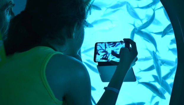 Disfrutando de la travesía submarina