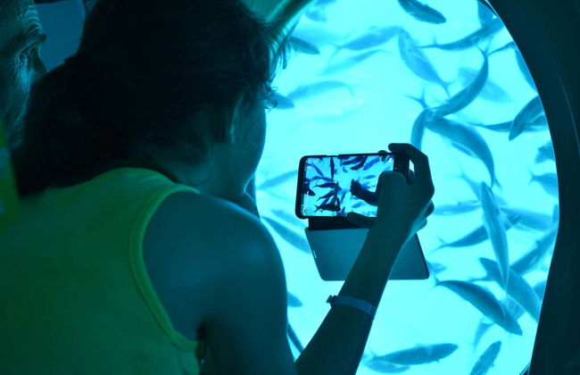 Hurghada Submarine Tour - Photo 5