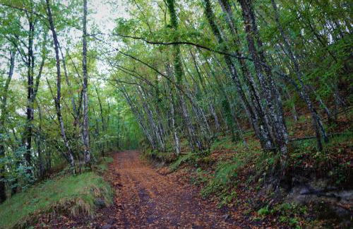 Frigino Agriturismo - Foto 49