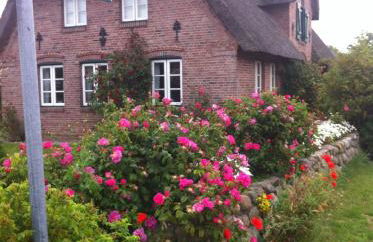 Das Rosenhaus - Photo 29