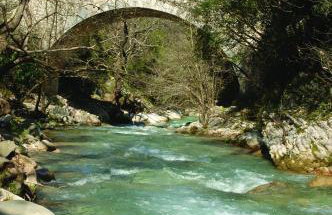 Terpsichore Apartments - Foto 18