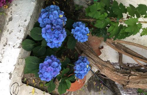 Cortijo de Mariangela UNO - Foto 30