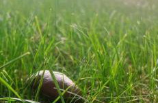 NATURA APARTAMENTY Era - Photo 25